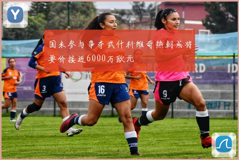 国米参与争夺武什科维奇热刺或将要价接近6000万欧元