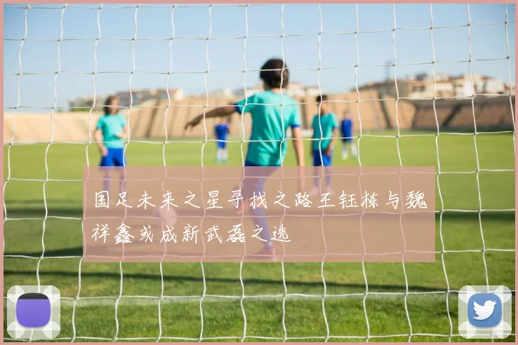 国足未来之星寻找之路王钰栋与魏祥鑫或成新武磊之选