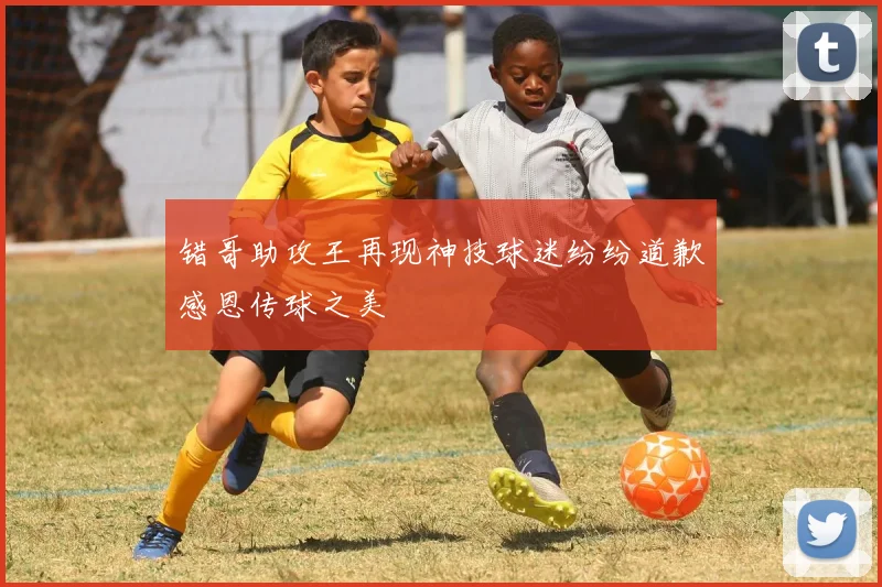 错哥助攻王再现神技球迷纷纷道歉感恩传球之美