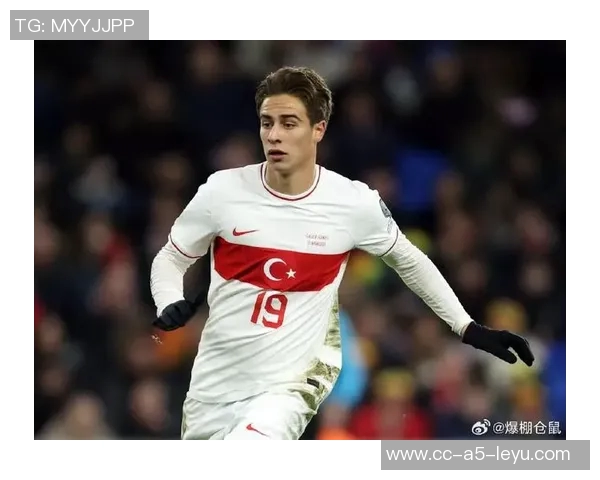土耳其国家队新名单公布居莱尔恰尔汗奥卢伊尔迪兹入选乌尊未能入选